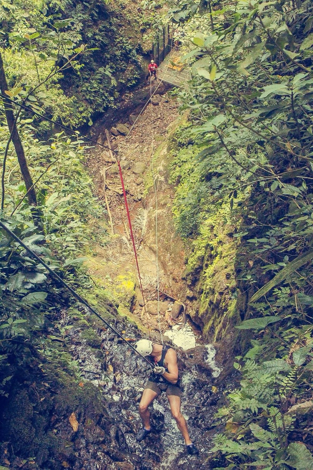 Mike abseiling in a green, rocky gorge